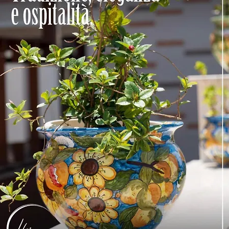 Hotel Miravalle